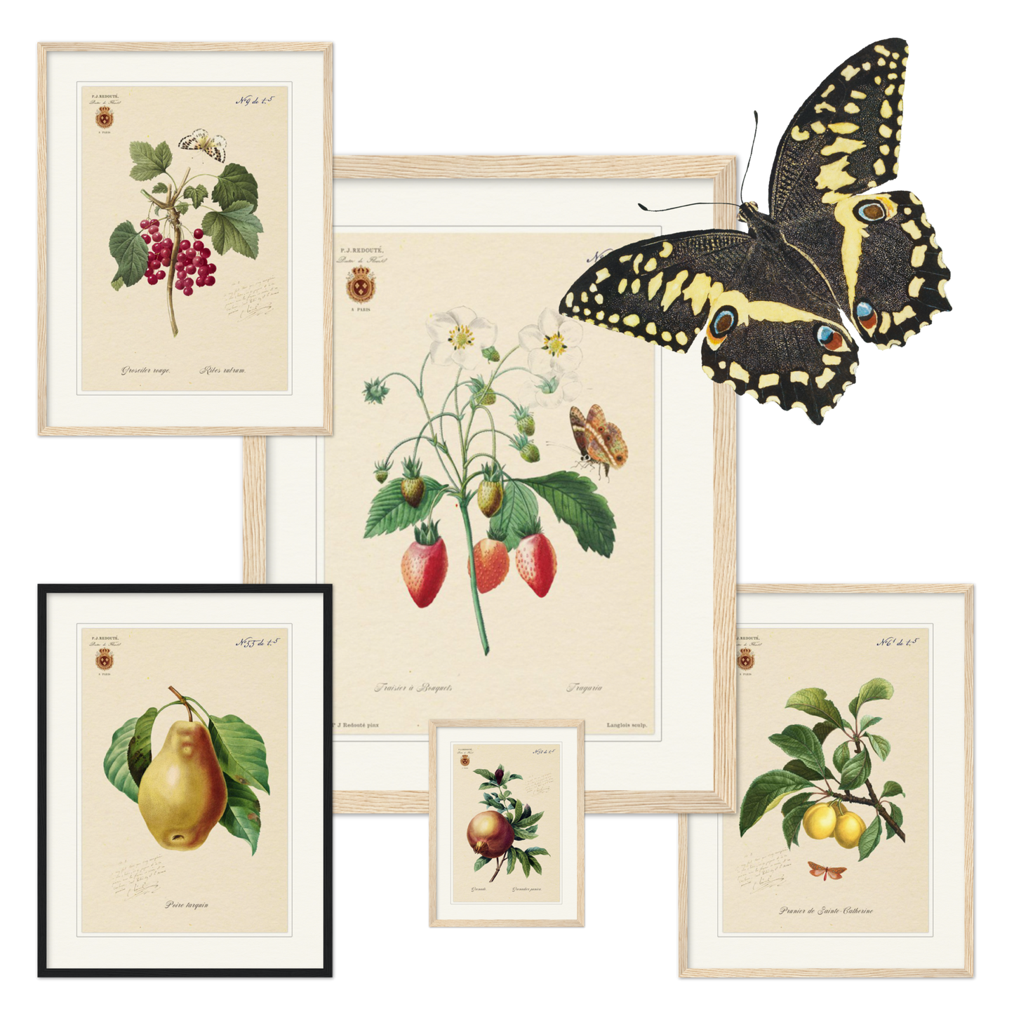 Fruits