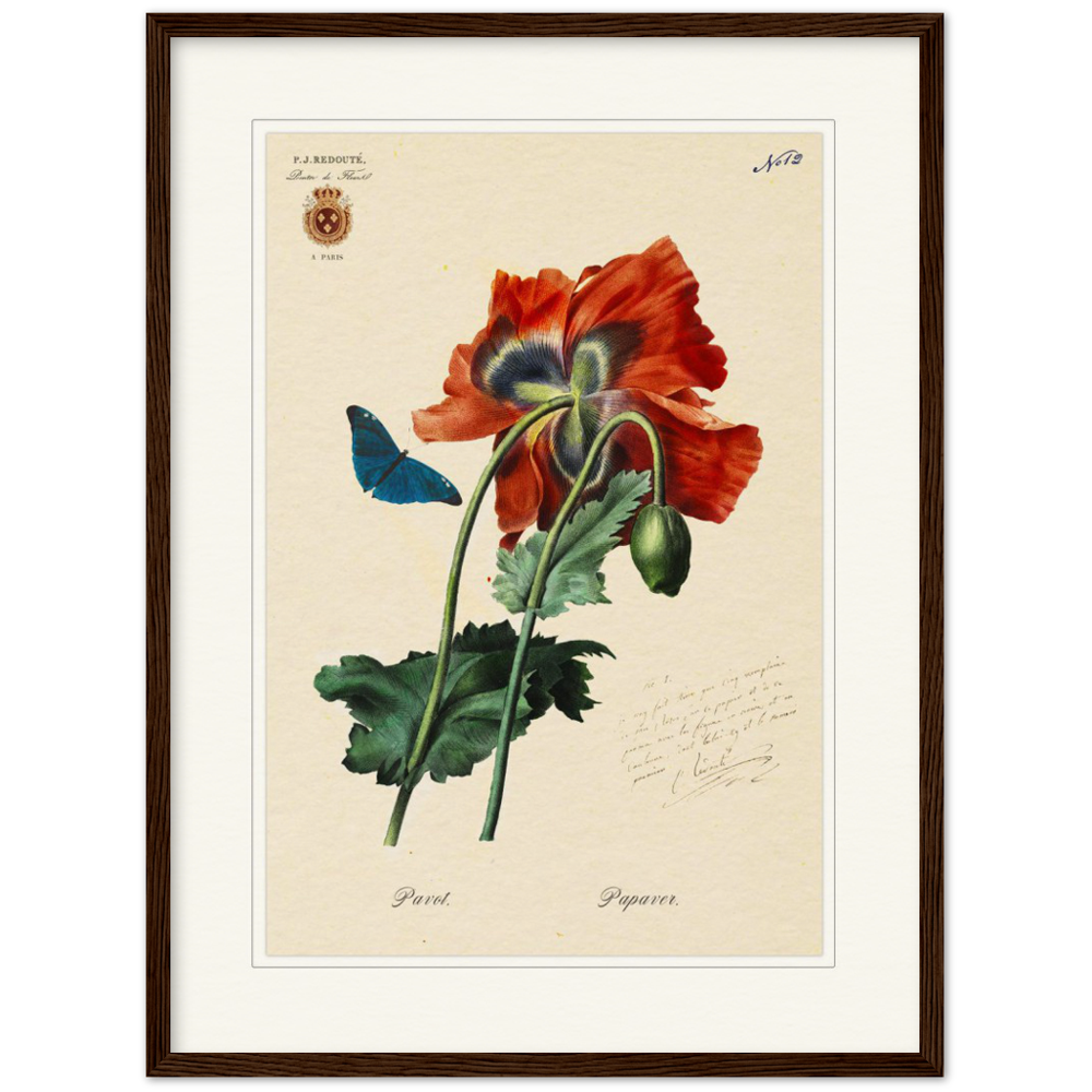 Red Poppies