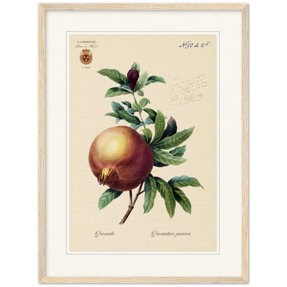 Pomegranate
