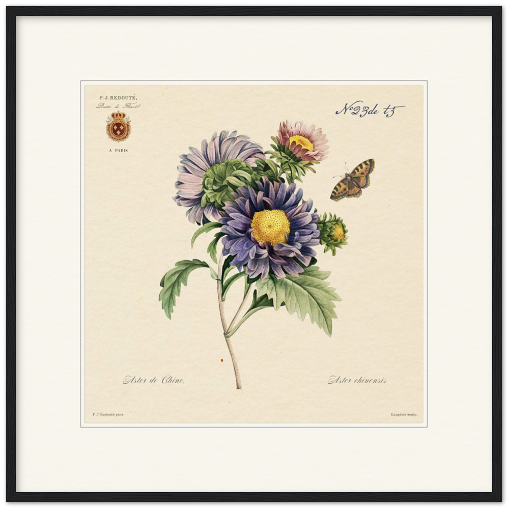 Pierre-Joseph Redouté, floral, flowers, art, wall art, flower prints, botanical, illustration, plants, roses