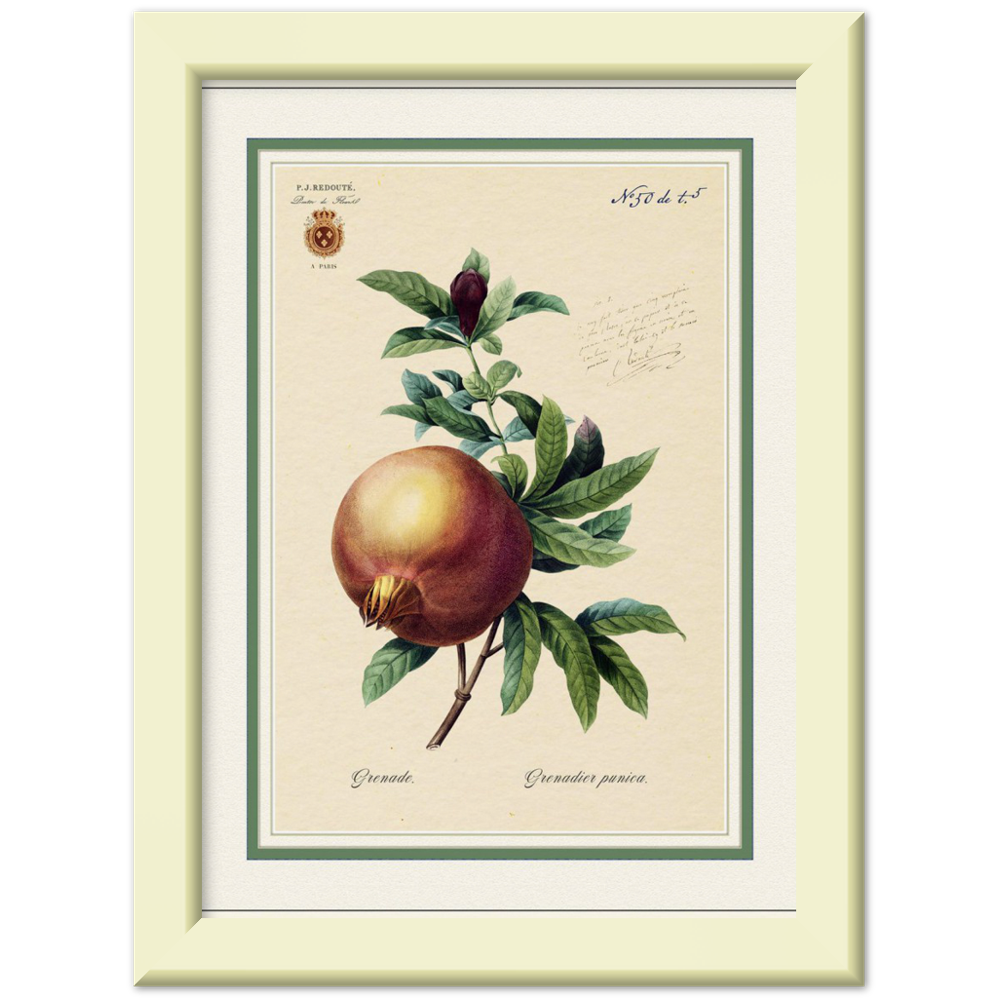 Pomegranate, gold and mat edition