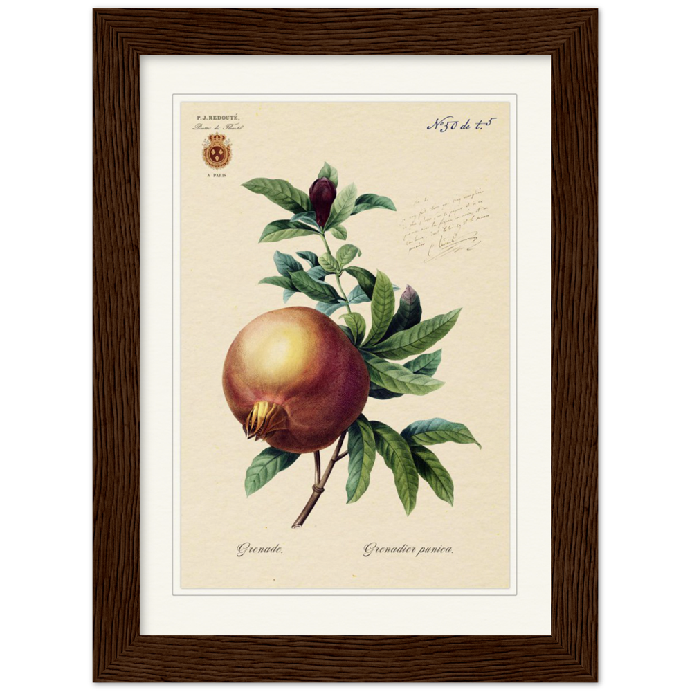 Pomegranate