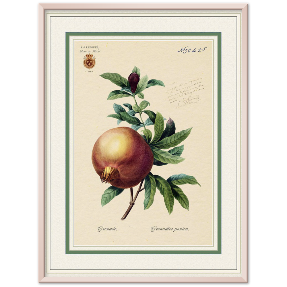 Pomegranate, gold and mat edition