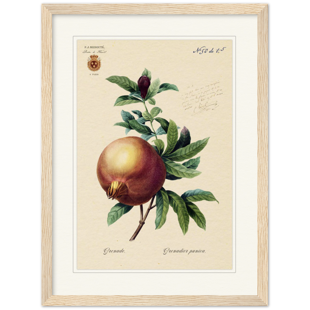 Pomegranate