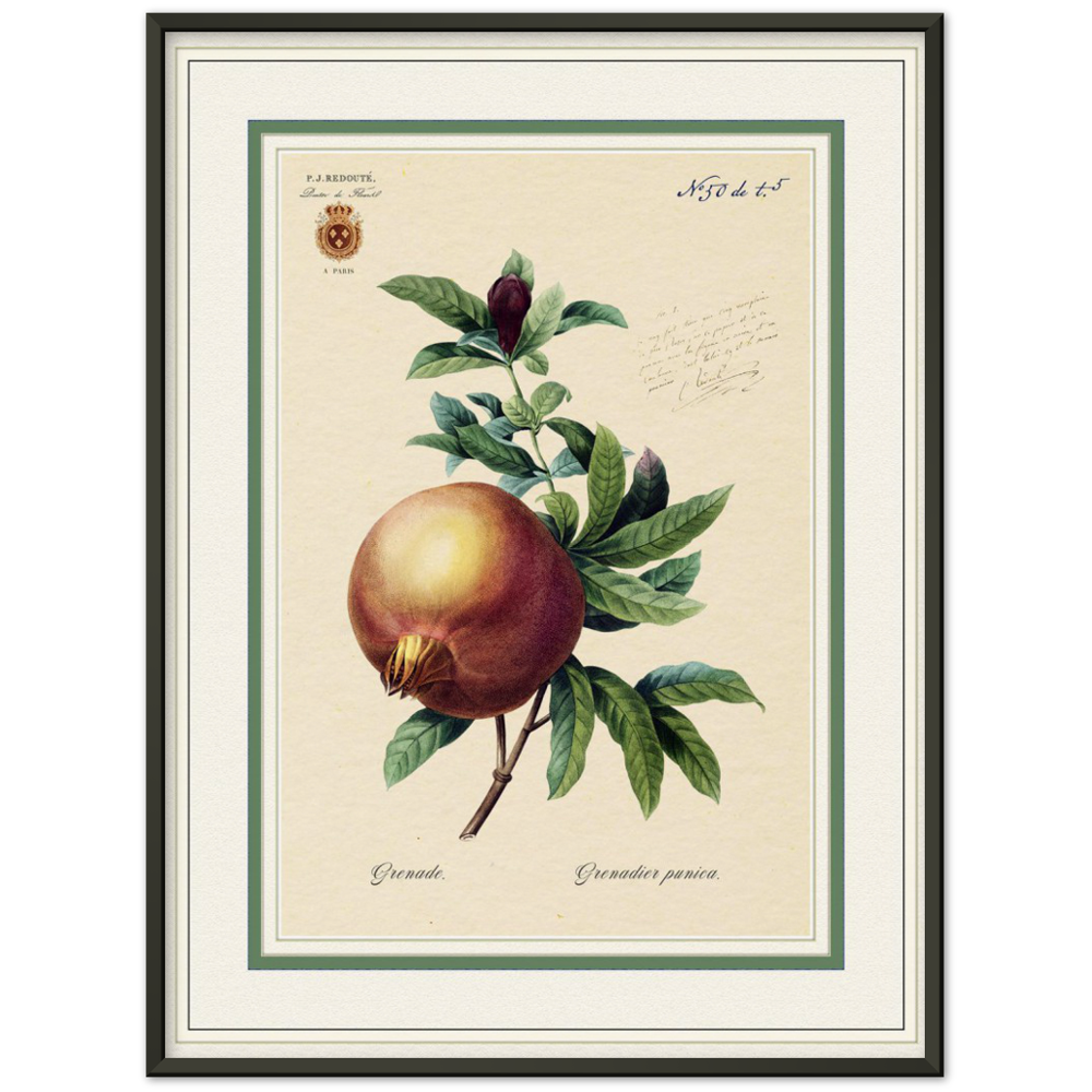Pomegranate, gold and mat edition