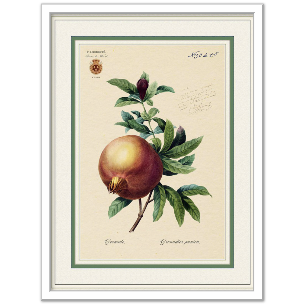 Pomegranate, gold and mat edition
