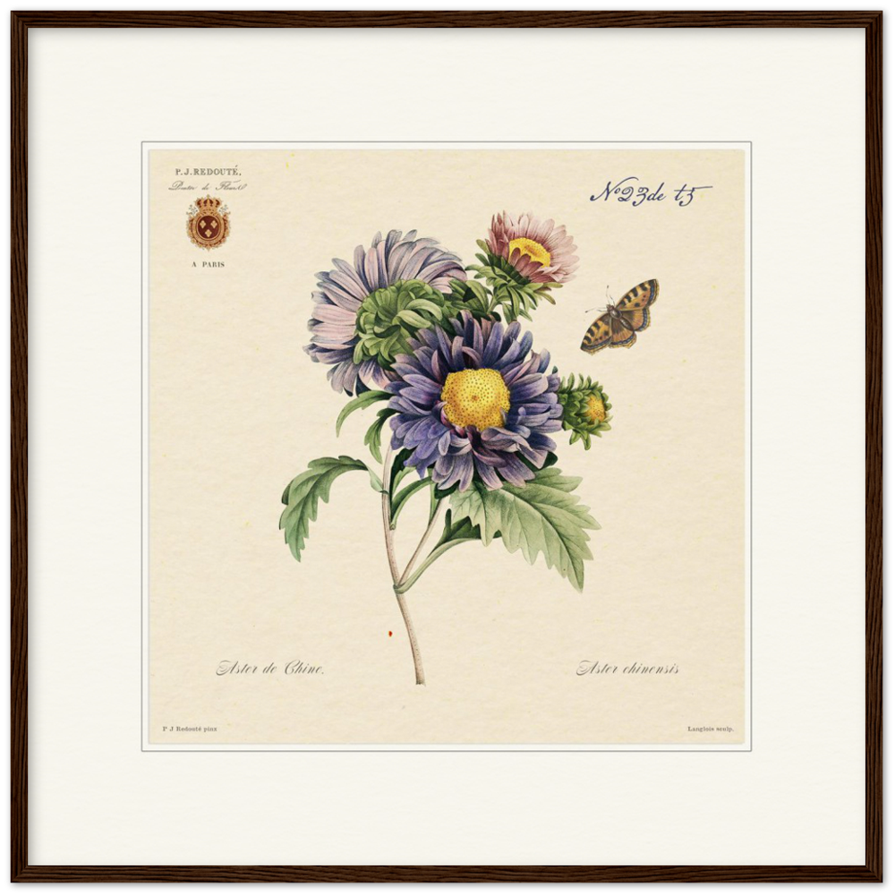 Pierre-Joseph Redouté, floral, flowers, art, wall art, flower prints, botanical, illustration, plants, roses
