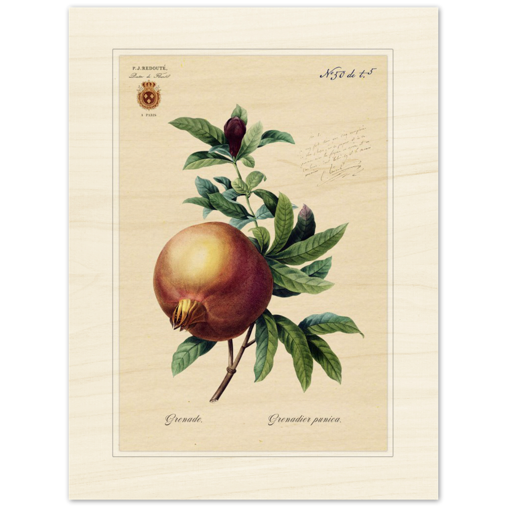 Pomegranate