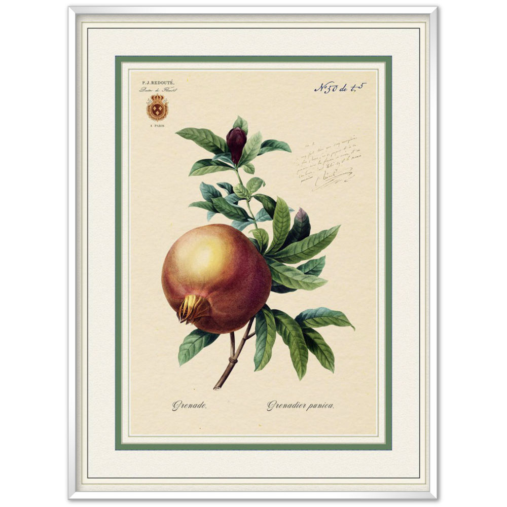 Pomegranate, gold and mat edition