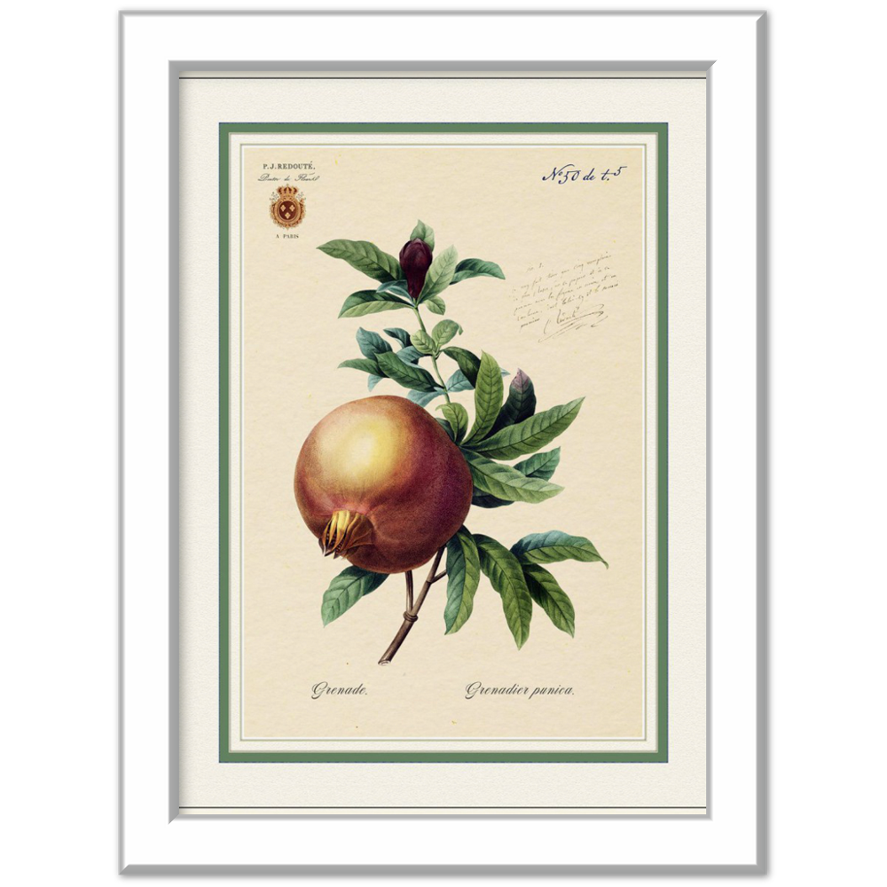 Pomegranate, gold and mat edition