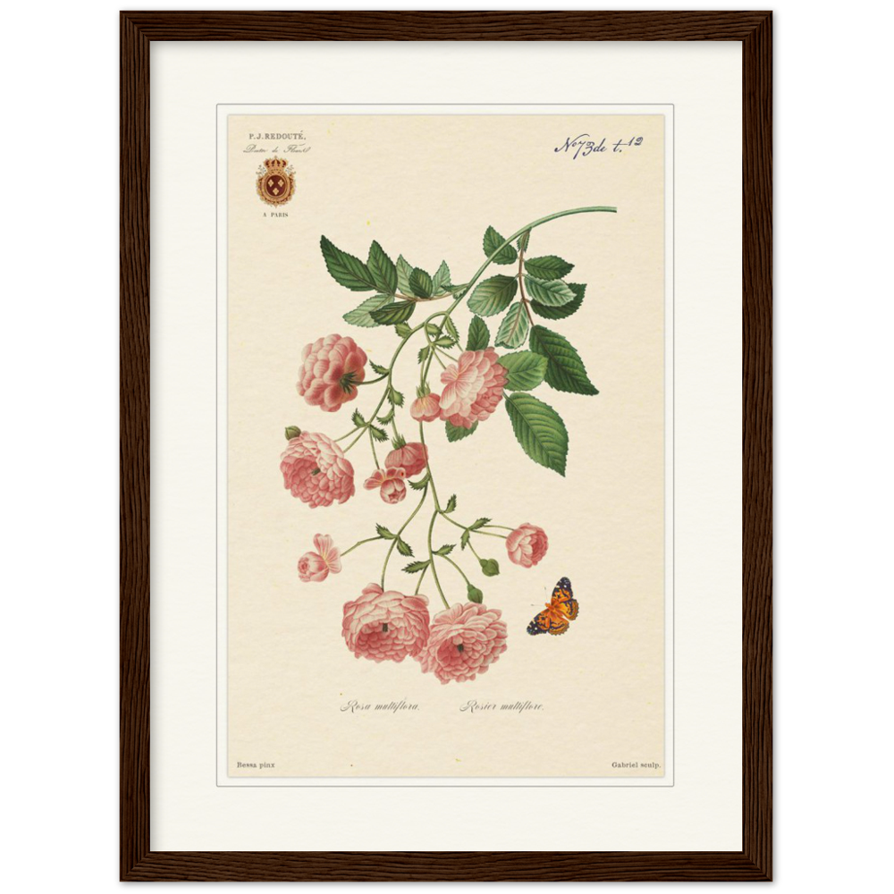 Pierre-Joseph Redouté, floral, flowers, art, wall art, flower prints, botanical, illustration, plants, roses