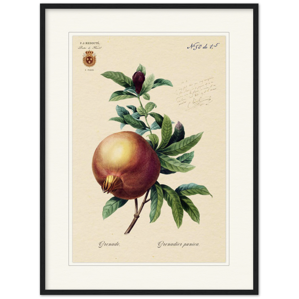Pomegranate