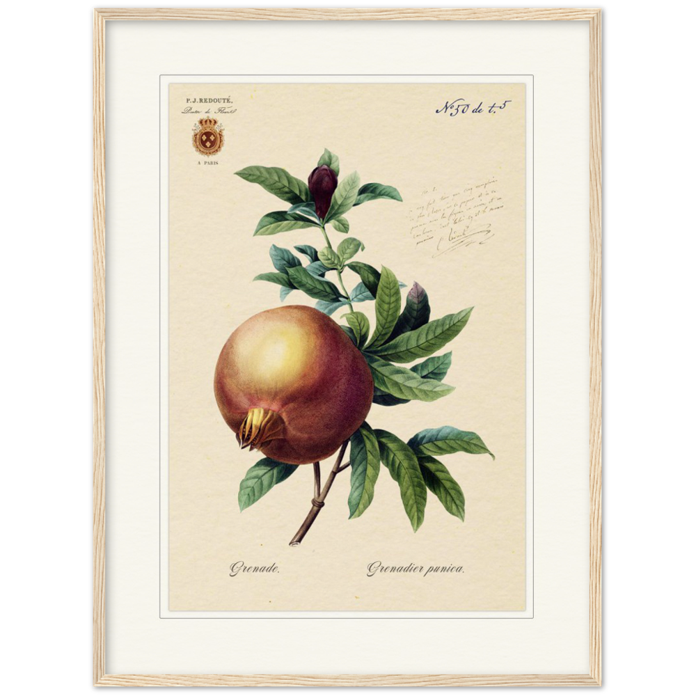 Pomegranate