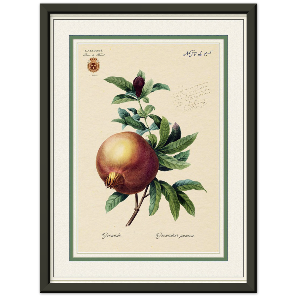 Pomegranate, gold and mat edition