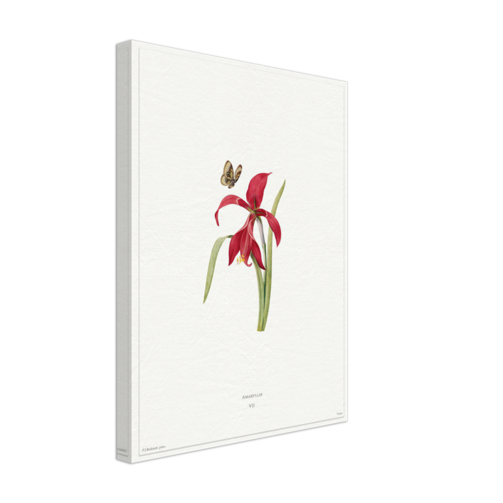 Pierre-Joseph Redouté, floral, flowers, art, wall art, flower prints, botanical, illustration, plants, roses