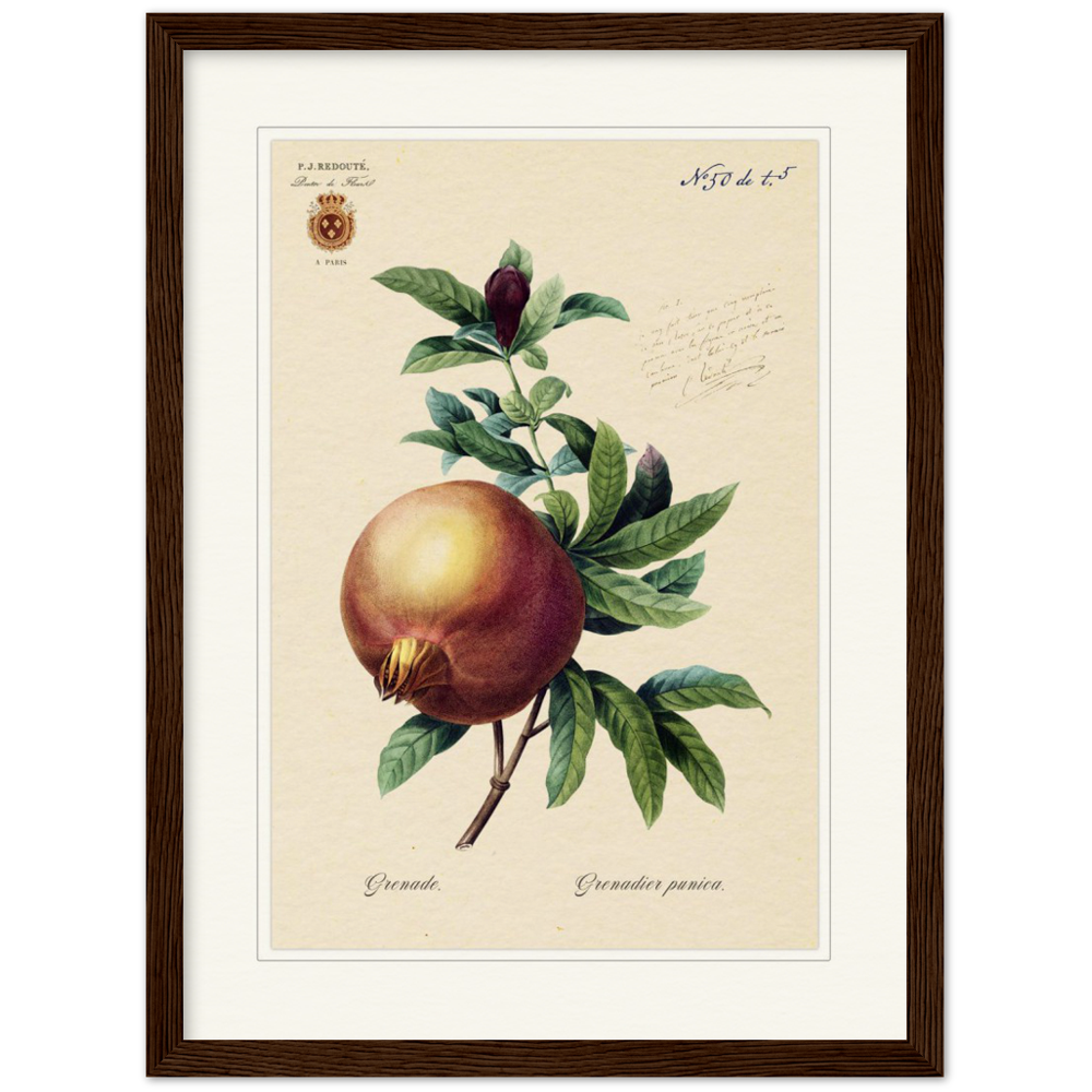 Pomegranate