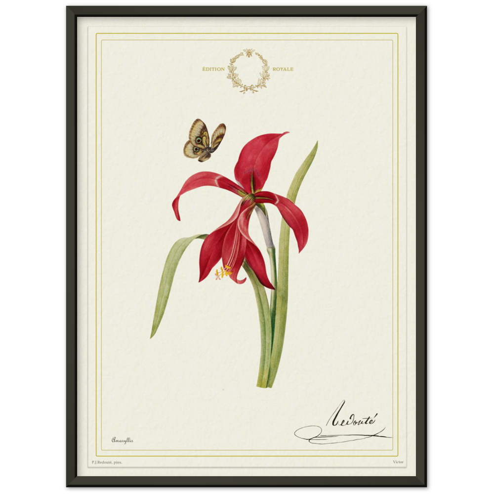 Pierre-Joseph Redouté, floral, flowers, art, wall art, flower prints, botanical, illustration, plants, roses