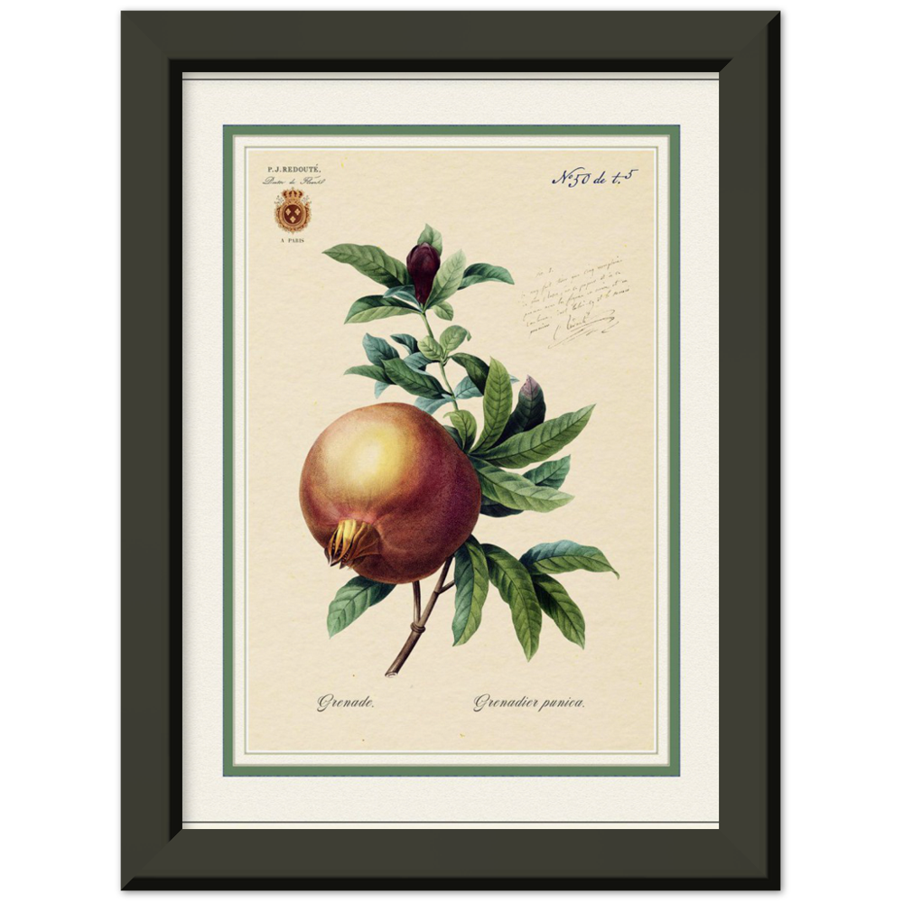 Pomegranate, gold and mat edition