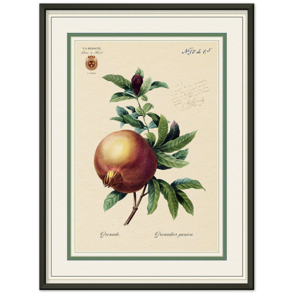 Pomegranate, gold and mat edition