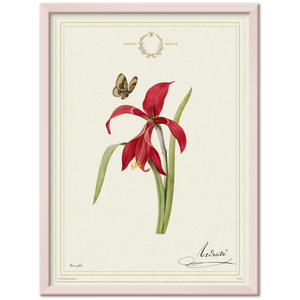 Pierre-Joseph Redouté, floral, flowers, art, wall art, flower prints, botanical, illustration, plants, roses