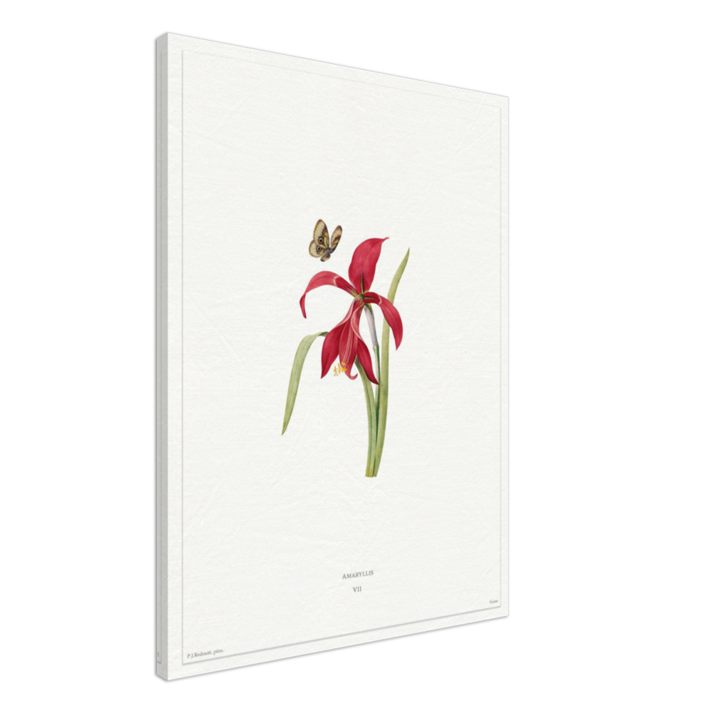 Pierre-Joseph Redouté, floral, flowers, art, wall art, flower prints, botanical, illustration, plants, roses