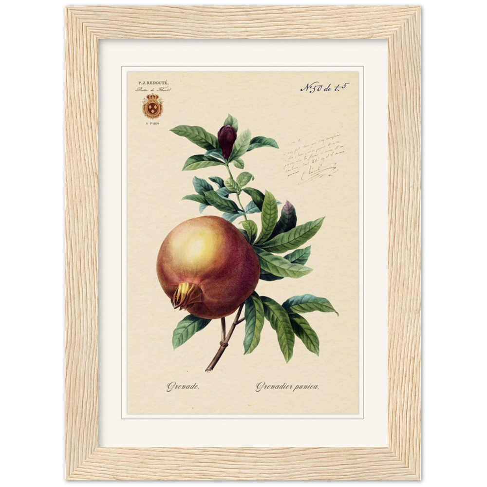 Pomegranate