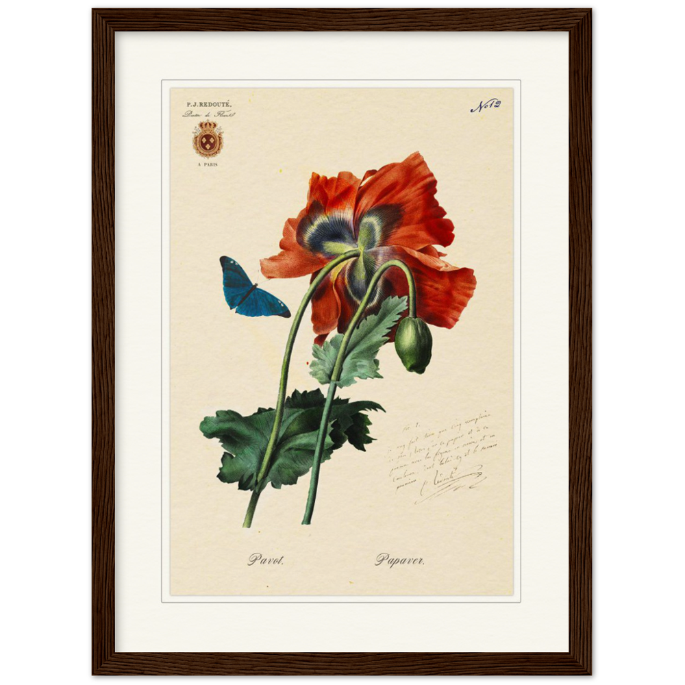 Red Poppies