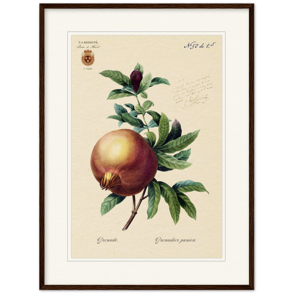 Pomegranate
