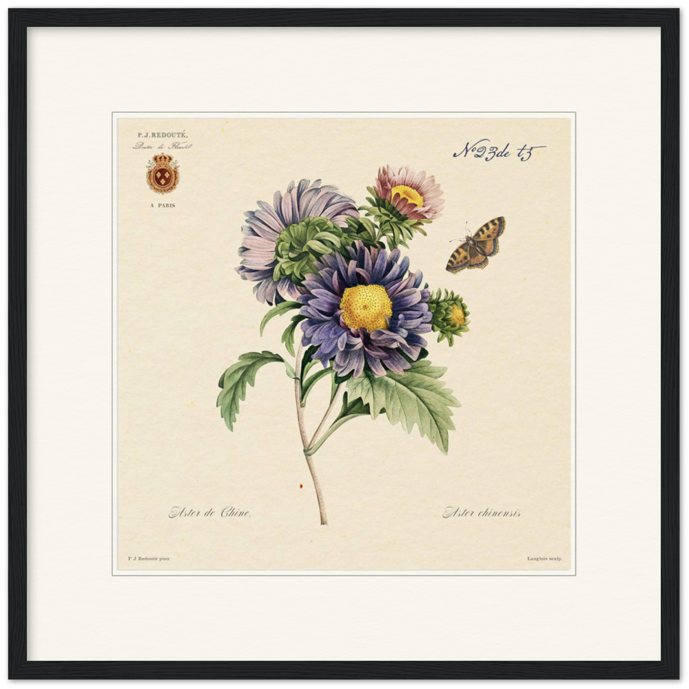 Pierre-Joseph Redouté, floral, flowers, art, wall art, flower prints, botanical, illustration, plants, roses