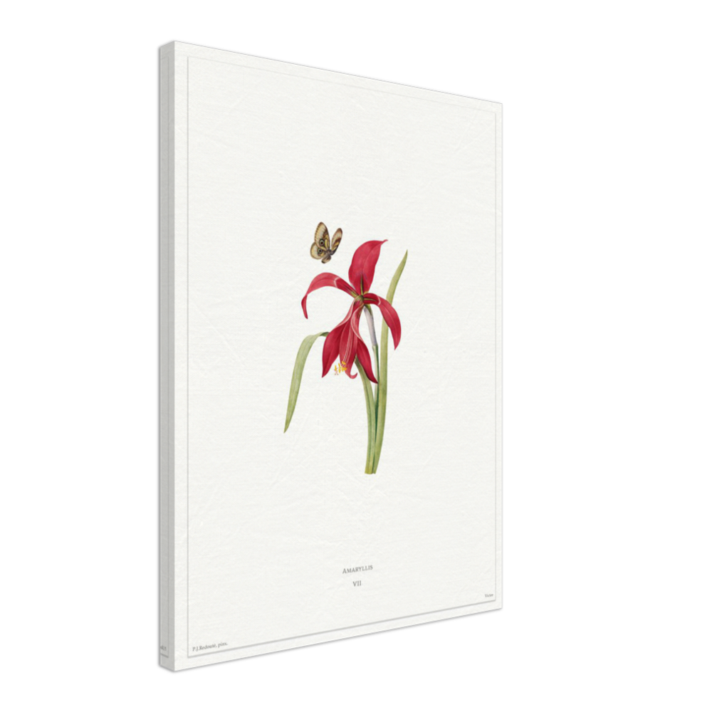 Pierre-Joseph Redouté, floral, flowers, art, wall art, flower prints, botanical, illustration, plants, roses