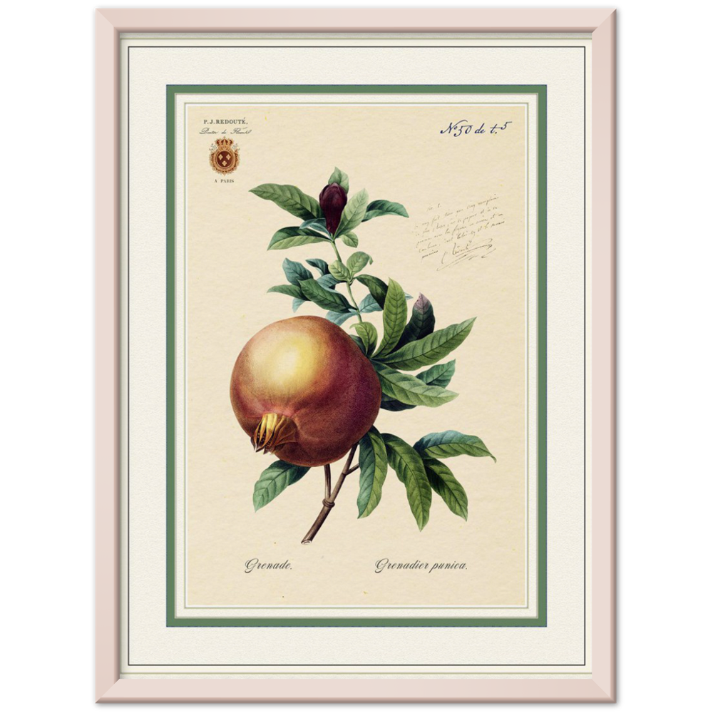 Pomegranate, gold and mat edition