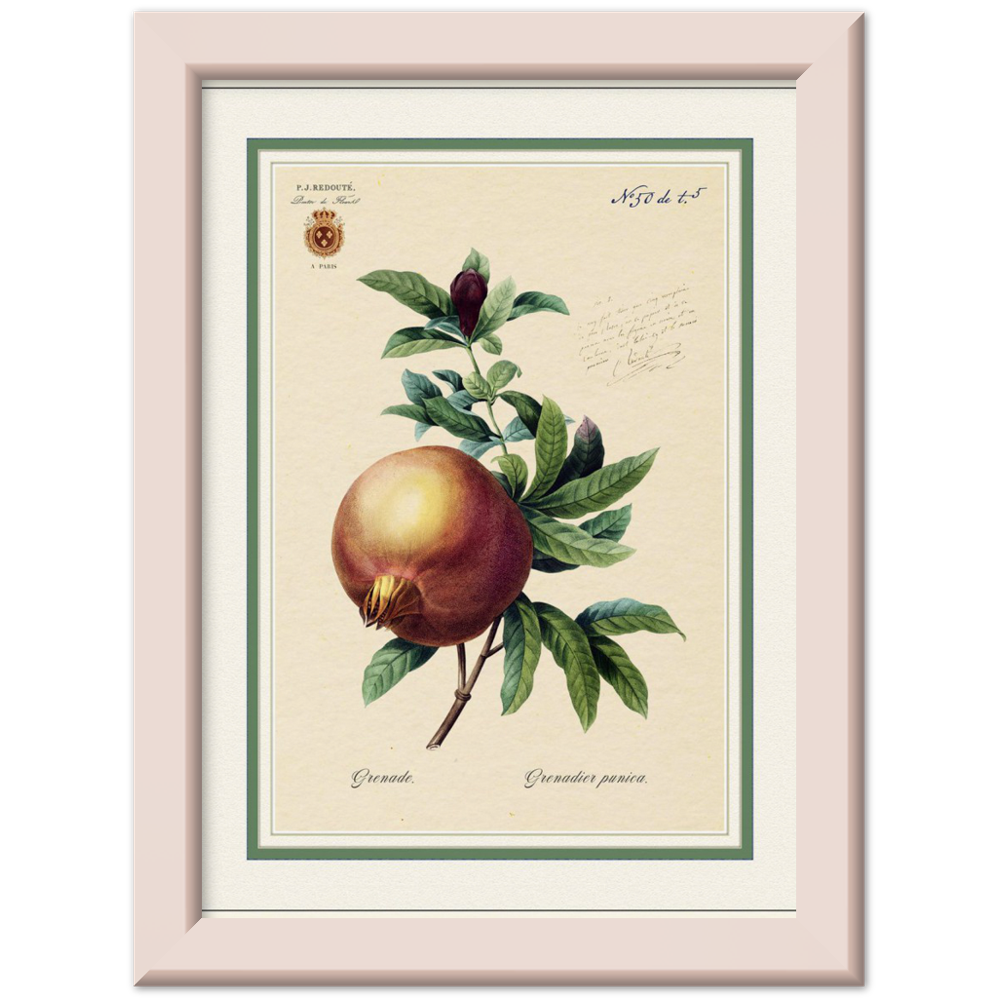 Pomegranate, gold and mat edition