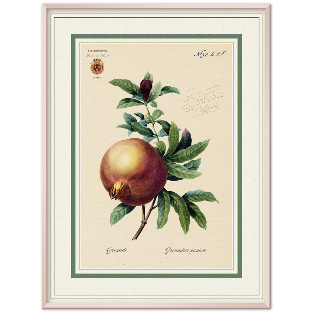 Pomegranate, gold and mat edition