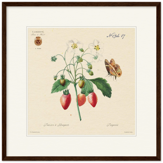 Strawberry by Redouté, 1834 (édition classique)