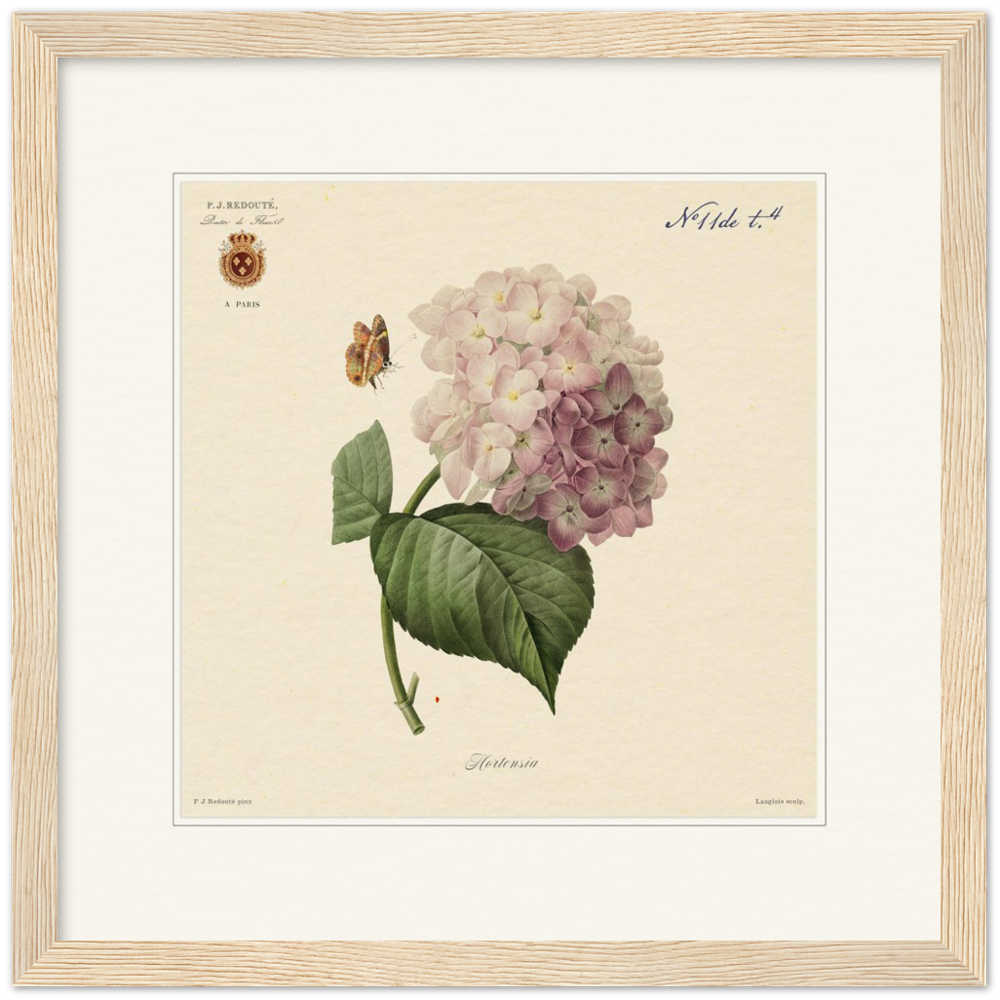 Pierre-Joseph Redouté, floral, flowers, art, wall art, flower prints, botanical, illustration, plants, roses