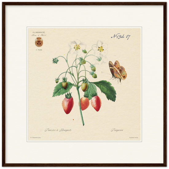 Strawberry by Redouté, 1834 (édition classique)